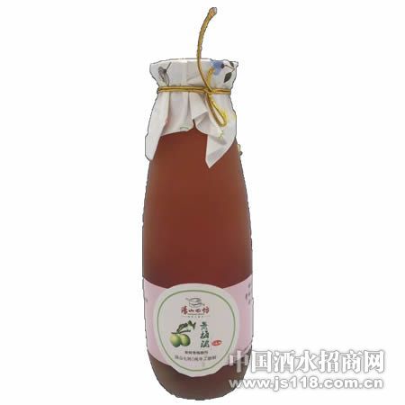 杨梅甜酒